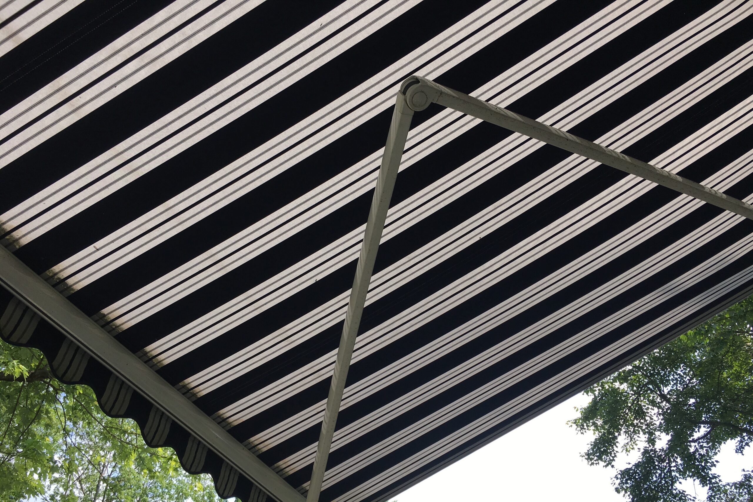 blue-and-white-striped-folding-umbrella-above-pat-2025-01-07-23-23-18-utc